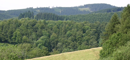 Die Berge bei Lerbach